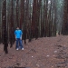 ooty